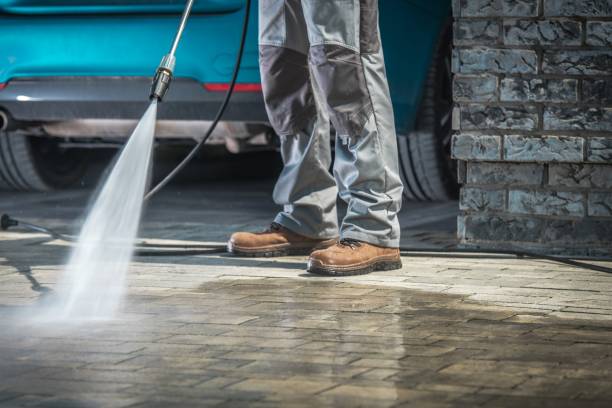 Best Sign and Awning Cleaning  in Walnut Hill, TN